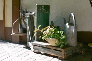 Sommer im Hof