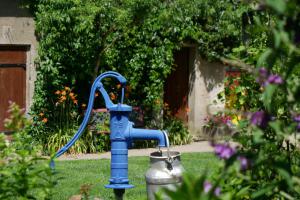 2019-06-29 Ferienhof Hof 06
