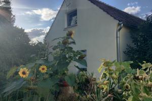 Sommer Hof - 16